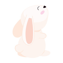 cute rabbit seated animal