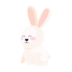 cute white rabbit animal