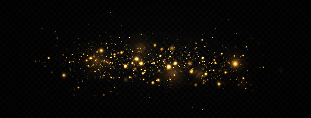 Obraz na płótnie Canvas Beautiful sparks shine with special light. The dust sparks and golden stars shine with special light. Christmas Abstract stylish light effect.