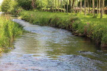 cascade, rivière et bois