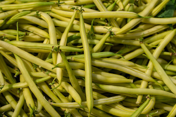 fasola, fasolka, fasolka szparagowa, zółta fasolka szparagowa, zielona fasolka szparagowa, Beans, Green Beans, Green Beans, Yellow Green Beans, Green Green Beans,