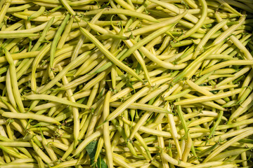fasola, fasolka, fasolka szparagowa, zółta fasolka szparagowa, zielona fasolka szparagowa, Beans, Green Beans, Green Beans, Yellow Green Beans, Green Green Beans,