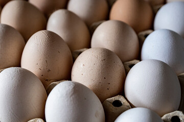 Jajka, Kurze jajka, zdrowe jajka, Jajka w pojemniku, jajka od zdrowych kur, kury z wolnego wybiegu, kolorowe jajka, eggs, healthy eggs, 