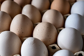 Jajka, Kurze jajka, zdrowe jajka, Jajka w pojemniku, jajka od zdrowych kur, kury z wolnego wybiegu, kolorowe jajka, eggs, healthy eggs,  - obrazy, fototapety, plakaty