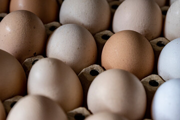 Jajka, Kurze jajka, zdrowe jajka, Jajka w pojemniku, jajka od zdrowych kur, kury z wolnego wybiegu, kolorowe jajka, eggs, healthy eggs,  - obrazy, fototapety, plakaty