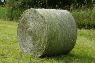 Round green hay bale on a rural agricultural farm © Michaela Baumann/Wirestock Creators