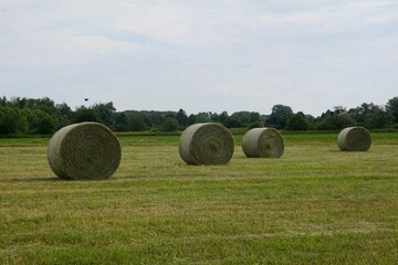Round green hay bales on a rural agricultural farm © Michaela Baumann/Wirestock Creators