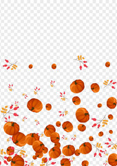 Burgundy Pumpkin Background Transparent Vector. Colorful Vintage Card. Yellow Leaf Floral Texture. Plant Season. September Border.