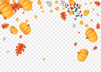 Colorful Rowan Background Transparent Vector. Orange Healthy Frame. Burgundy Gourd Foliage Card. Leaf Thanksgiving. Halloween Texture.