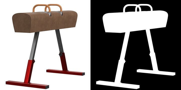 3D rendering illustration of a pommel horse