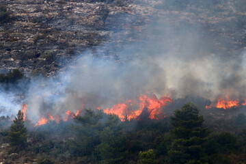 Fire in the mountains on the border of Israel and Lebanon