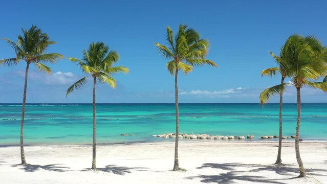 Juanillo beach with palm trees, white sand and turquoise caribbean sea water. Cap Cana is a tourist area in Dominican Republic. Aerial view