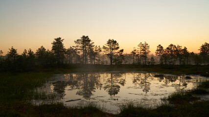 sunrise dawn on the swamp. Reflections of trees in lakes. Sunset, warm light and fog. Viru swamps Estonia