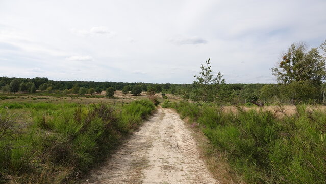 D&ouml;beritzer Heide