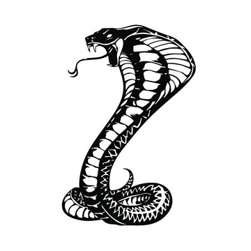 101 Amazing Cobra Tattoo Designs You Need To See  Cobra tattoo Around  arm tattoo Tattoos