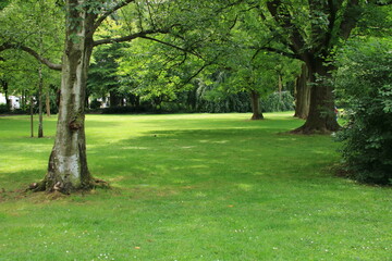 Stadtpark Bärenwiese in Ludwigsburg in Baden-Württemberg