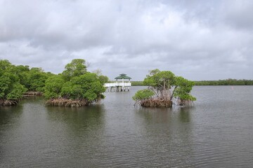 Beautiful view of a lake with a gazebo and trees in a cloudy weather