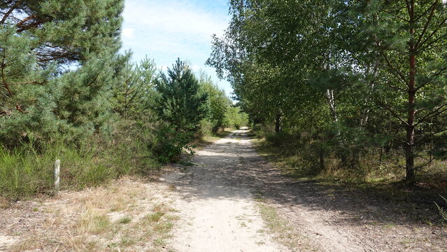 D&ouml;beritzer Heide