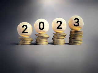 Finance and Economy of New Year Concept. 2023 text on wooden circles in vintage background.