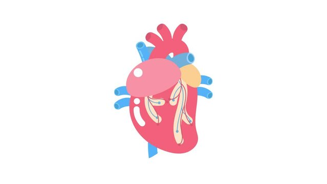 medical internal organs body part nervous system anatomy surgery human heart  health care logo label icon ,flat vector illustration cartoon design clip art
