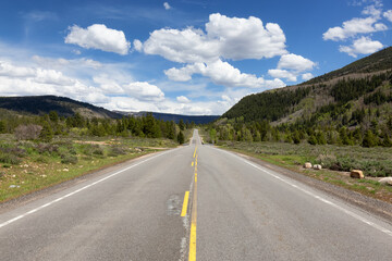 Scenic Road surrounded by Mountains and Trees. Spring Season. Kamas, Utah. United States. Nature Background.