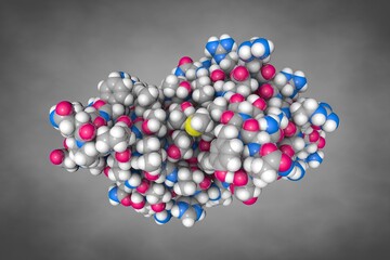 Fold of the core binding factor alpha. Atoms are shown as spheres with conventional color coding: carbon (gray), oxygen (red), hydrogen (white), nitrogen (blue), sulfur (yellow). 3d illustration