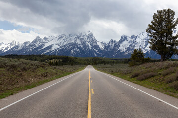 Scenic Road surrounded by Mountains and Trees in American Landscape. Spring Season. Grand Teton National Park. Wyoming, United States. Nature Background.