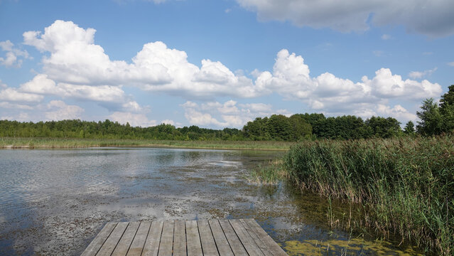 Bootssteg am See