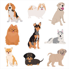 Dogs pets character. Labrador dog, golden retriever and husky. Cartoon vector isolated illustration set