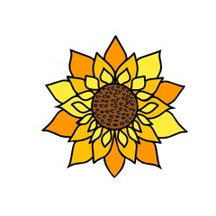 Sunflower Illustration on white background, icon, design