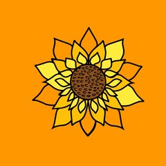 Sunflower Illustration on yellow background, icon, design