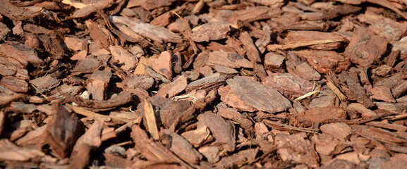 Rindenmulch, Baumrinde im Garten als Schutz am Boden