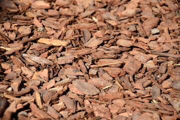 Rindenmulch, Baumrinde im Garten als Schutz am Boden
