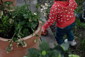 Fototapeta premium little child playing with a toy in the garden