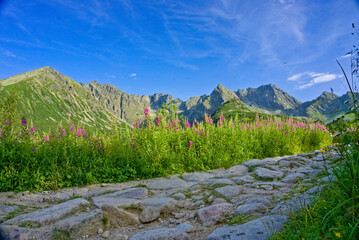 Krajobraz górski Panorama 