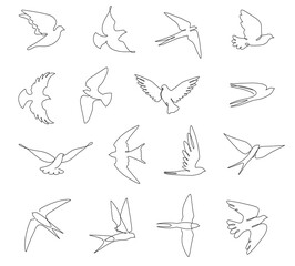 Continuous line birds. Flying swallow, doves and abstract bird with outstretched wings vector sketch illustration set