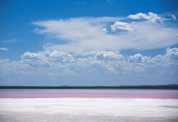 Akmola region, June 2022, pink lake Kobeytuz. High quality photo