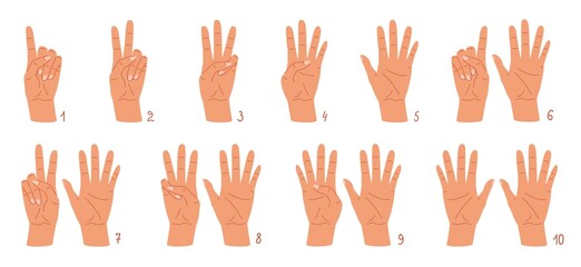 Cartoon hands count gesture, human wrist finger numbers. Vector illustration set