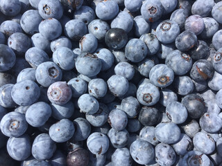 Fresh ripe blueberries close-up