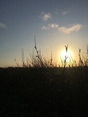 Sunset over coastal wetlands