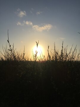 Sunset over coastal wetlands