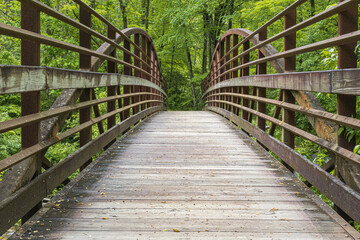 Arching foot bridge leading to a lush green forest.