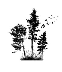 Blacktrees with birds. Vector illustration
