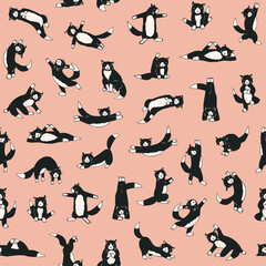 Yoga cats vector seamless pattern