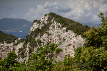 trees growing on the rocks above the sea