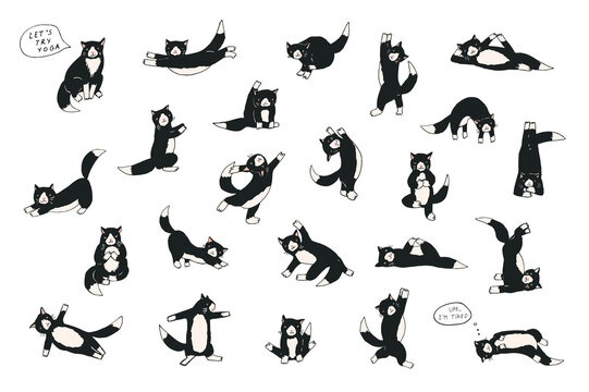 Yoga cats vector illustrations set
