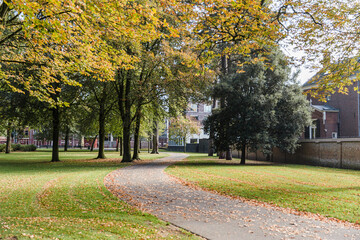 quiet dutch park at sunset