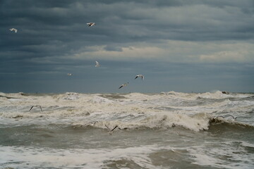 Mare mosso
