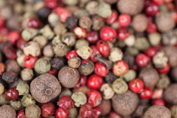 Closeup of pepper and peppercorns. Cuisine. Multicolored. Cooking