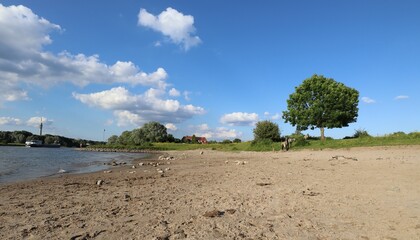 River landscape, river Rhine, near Arnhem (Netherlands), with konik horses, a boat and a swimmer © Marcel